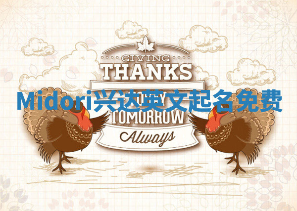 Midori兴达英文起名免费