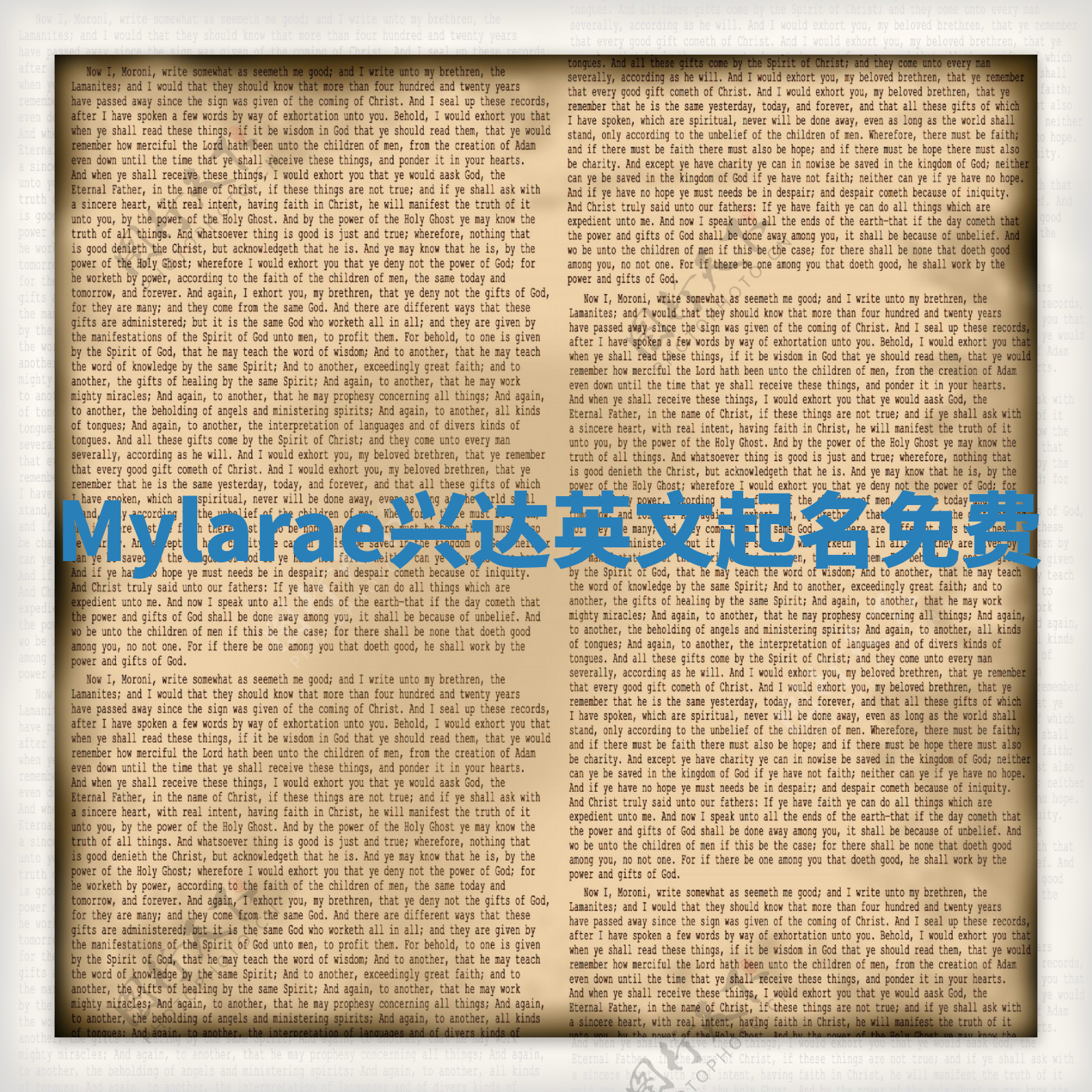 Mylarae兴达英文起名免费