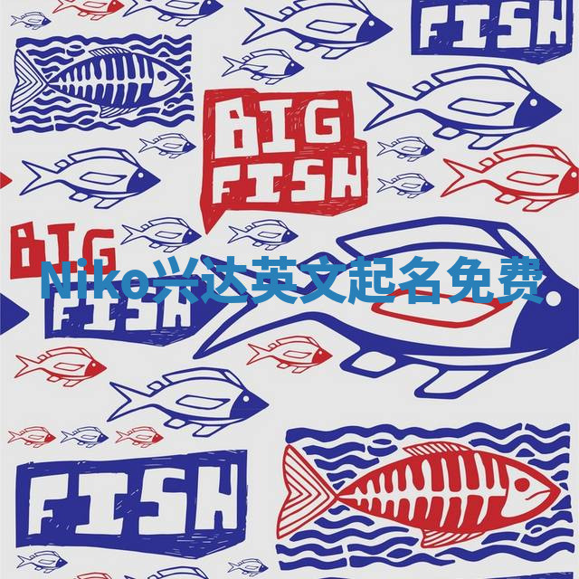 Niko兴达英文起名免费