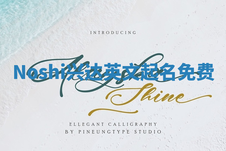 Noshi兴达英文起名免费