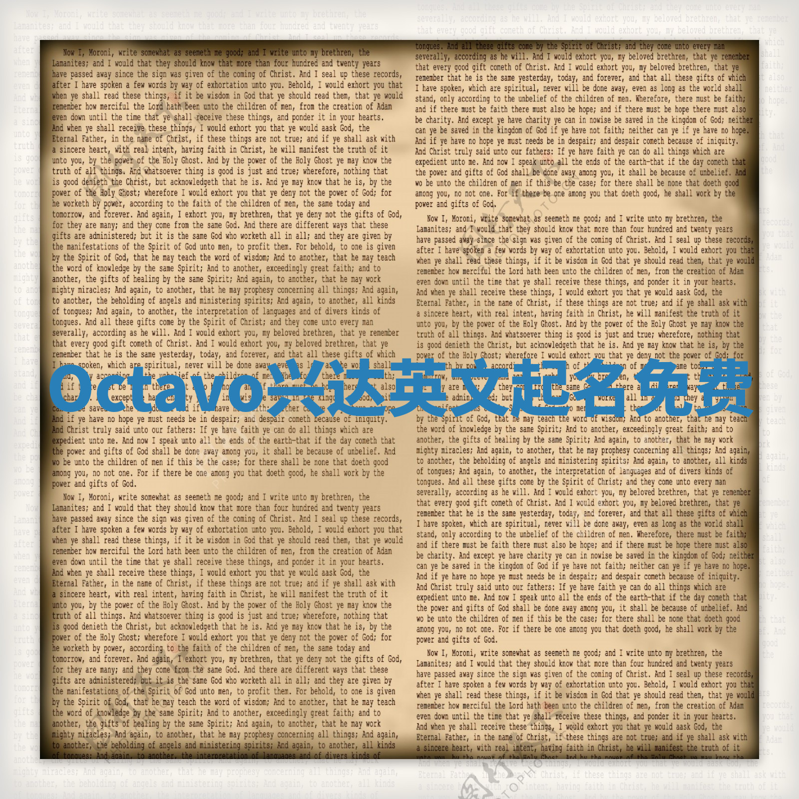 Octavo兴达英文起名免费