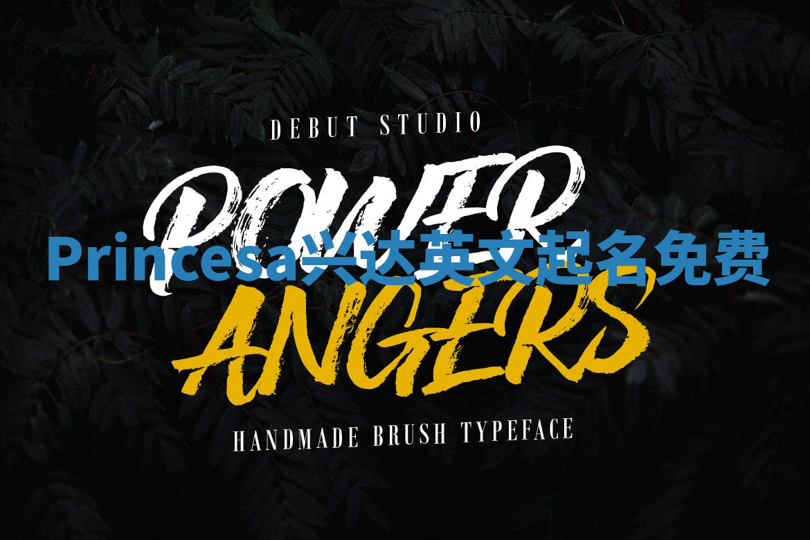 Princesa兴达英文起名免费