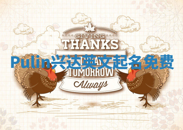 Pulin兴达英文起名免费