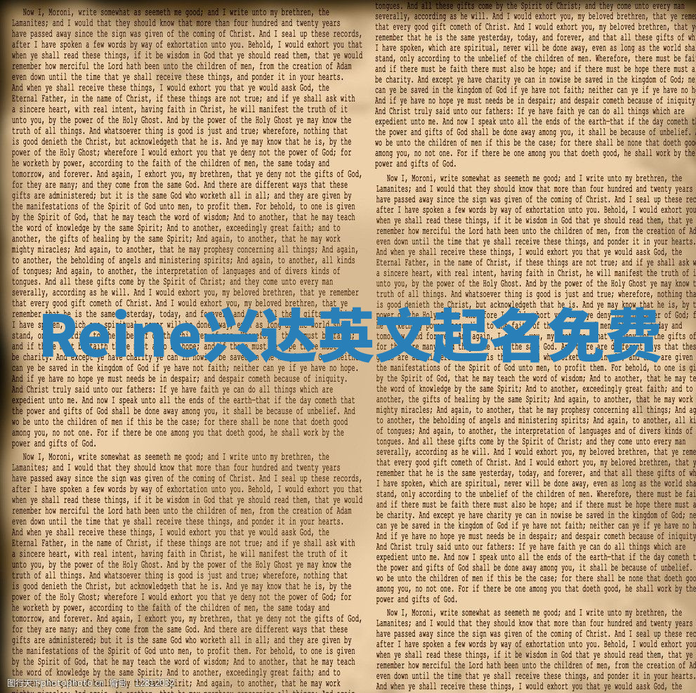 Reine兴达英文起名免费