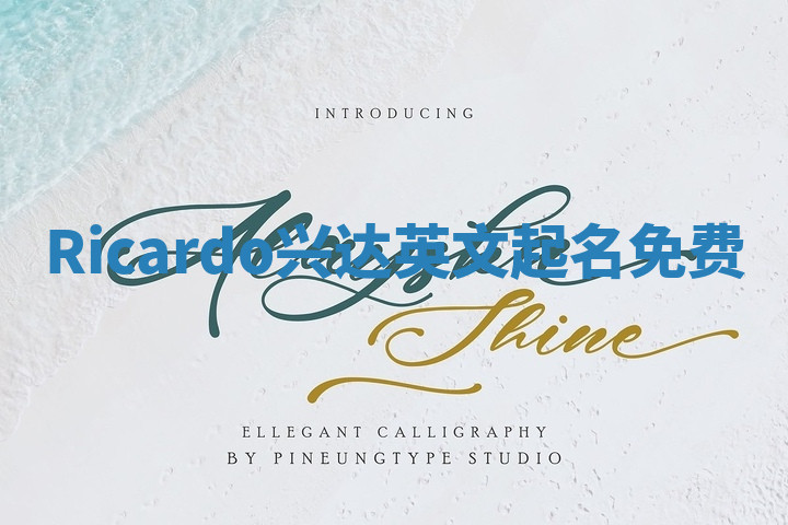 Ricardo兴达英文起名免费