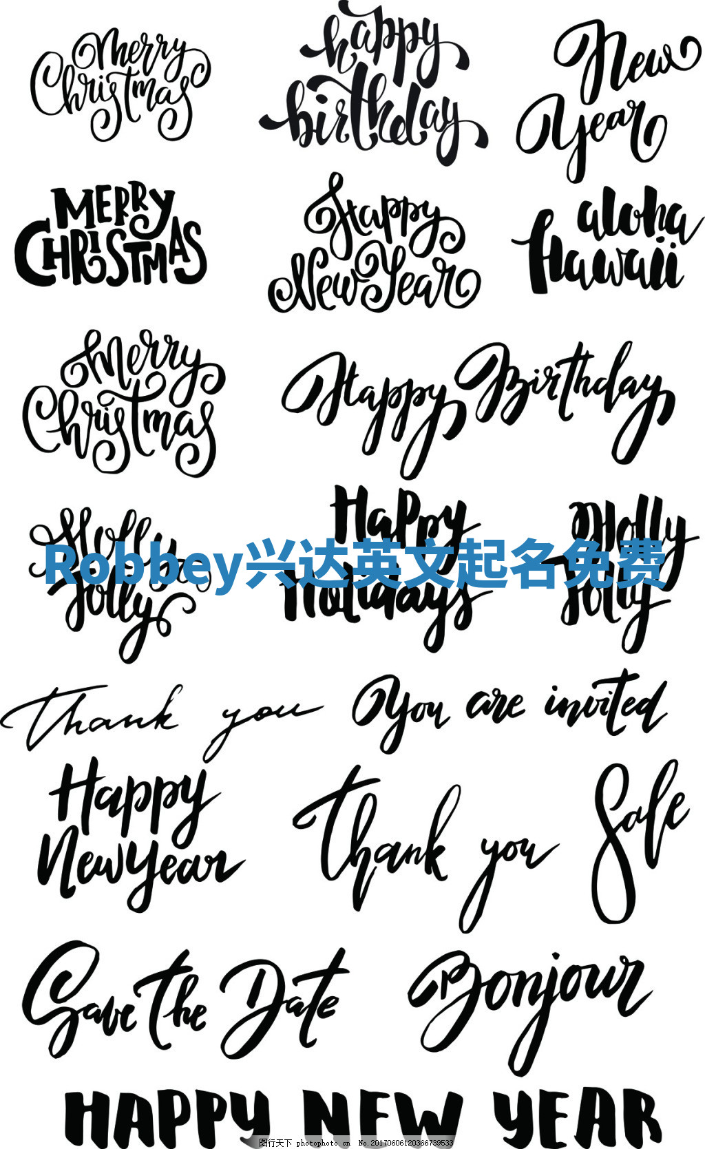 Robbey兴达英文起名免费