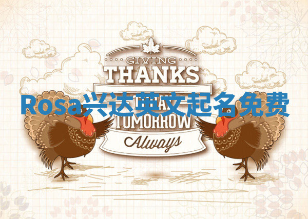 Rosa兴达英文起名免费