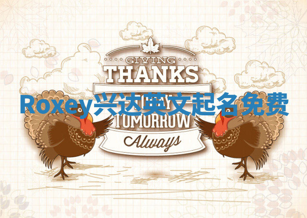 Roxey兴达英文起名免费