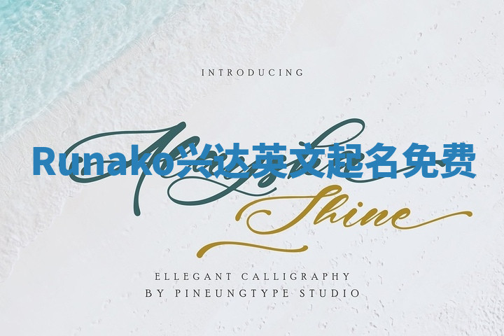 Runako兴达英文起名免费