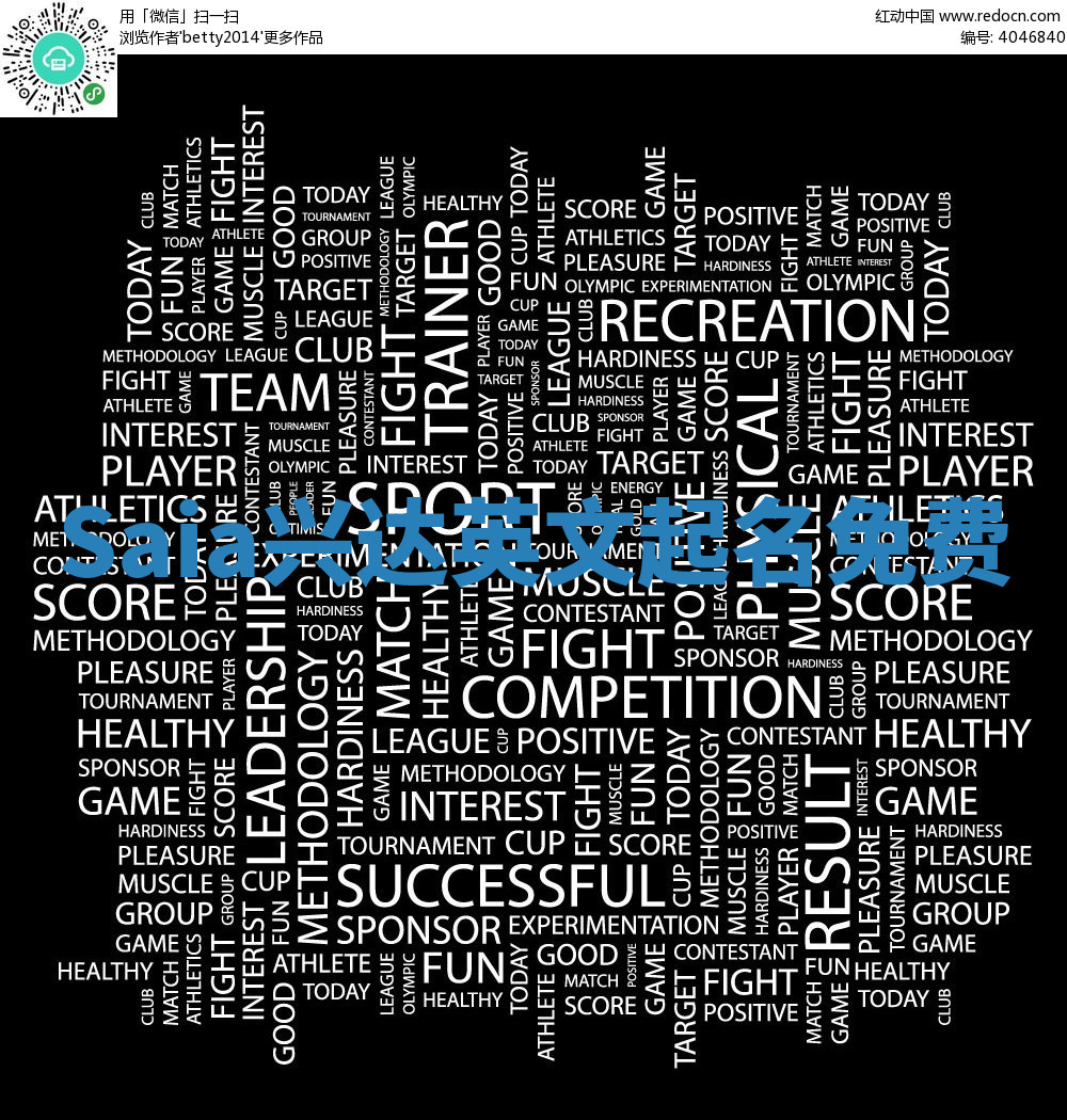 Saia兴达英文起名免费