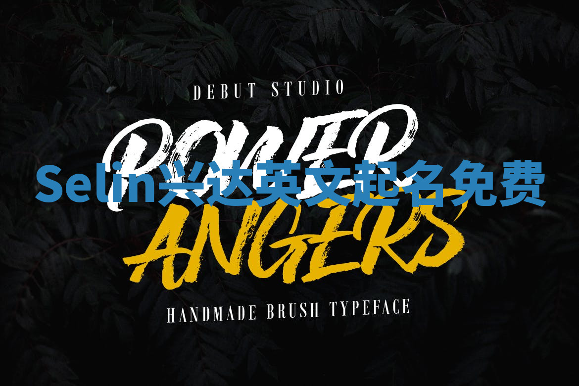 Selin兴达英文起名免费