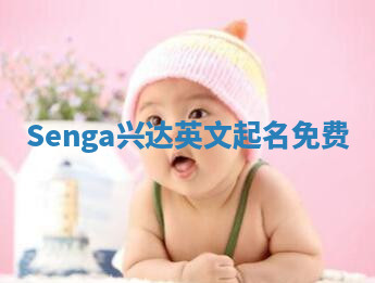 Senga兴达英文起名免费