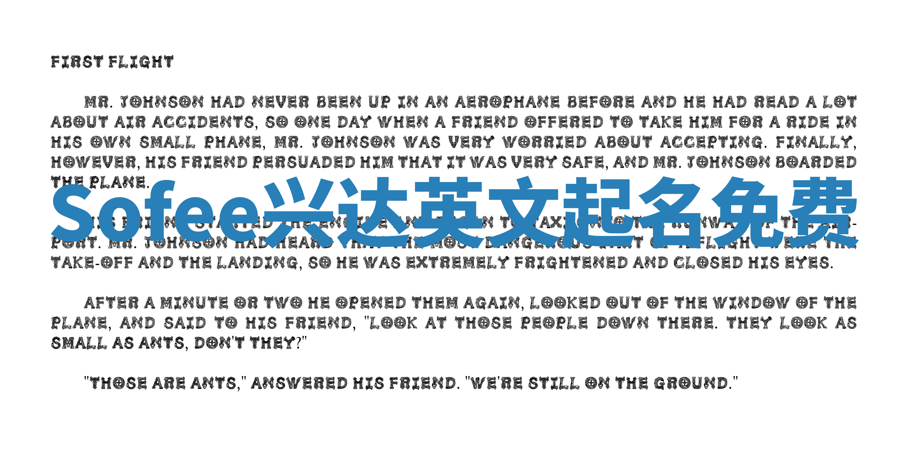 Sofee兴达英文起名免费