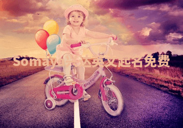 Somaya兴达英文起名免费