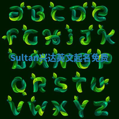 Sultan兴达英文起名免费 Sultan兴达英文起名免费