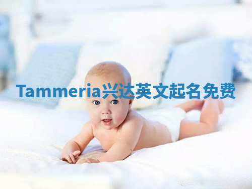 Tammeria兴达英文起名免费