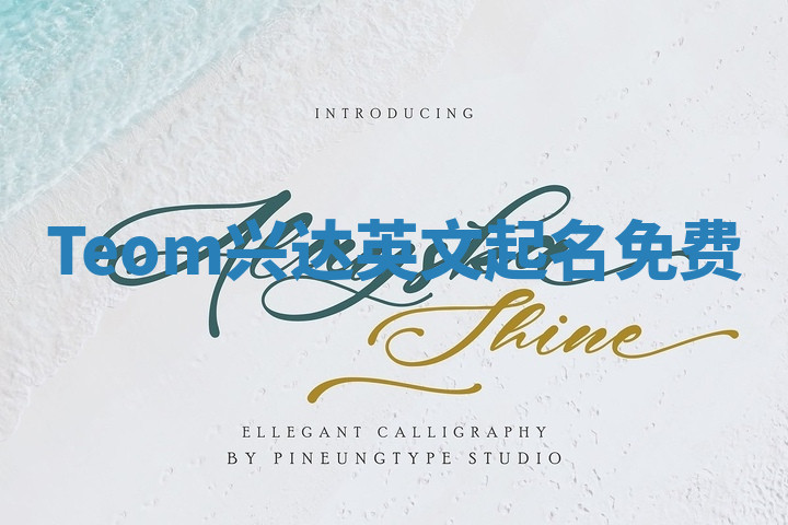 Teom兴达英文起名免费