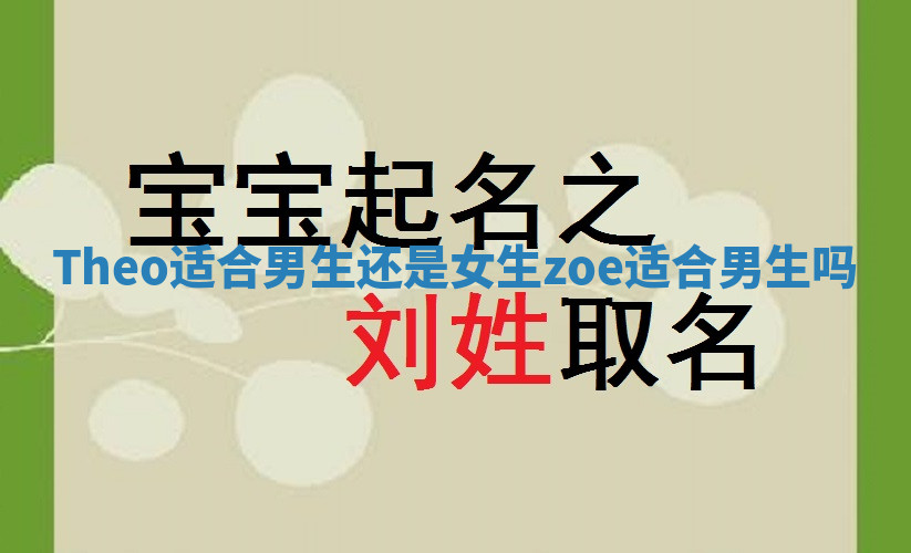 Theo适合男生还是女生 zoe适合男生吗