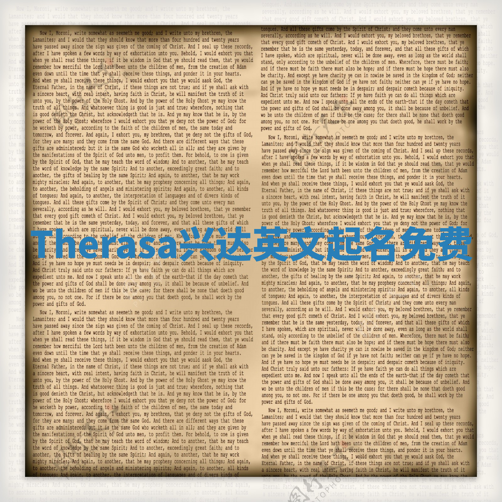 Therasa兴达英文起名免费
