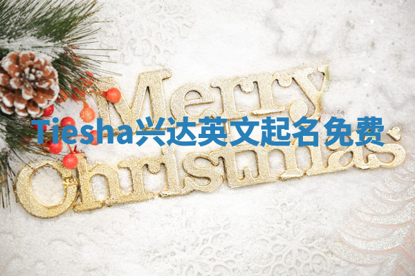 Tiesha兴达英文起名免费