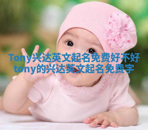 Tony兴达英文起名免费好不好_tony的兴达英文起名免费字