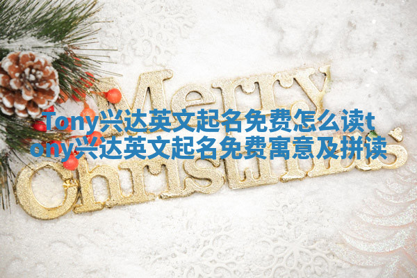 Tony兴达英文起名免费怎么读_tony 兴达英文起名免费寓意及拼读
