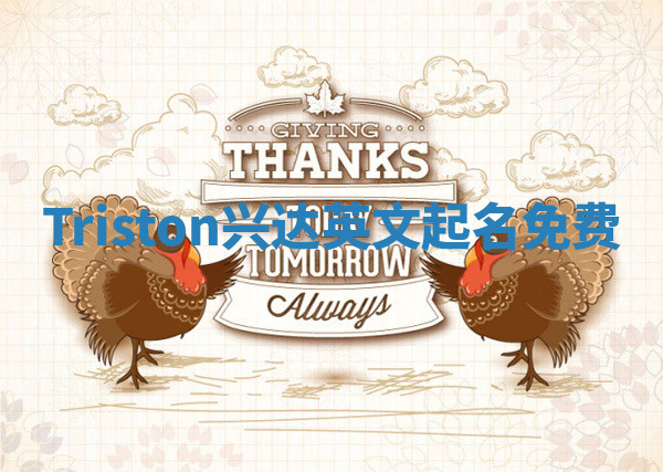 Triston兴达英文起名免费