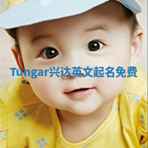 Tungar兴达英文起名免费