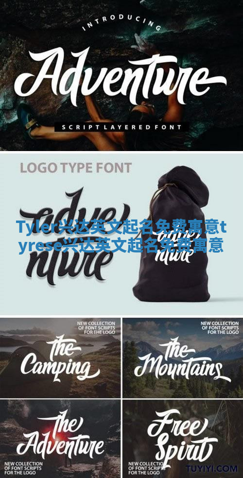 Tyler兴达英文起名免费寓意_tyrese兴达英文起名免费寓意