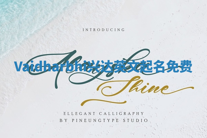 Vaidharbhi兴达英文起名免费