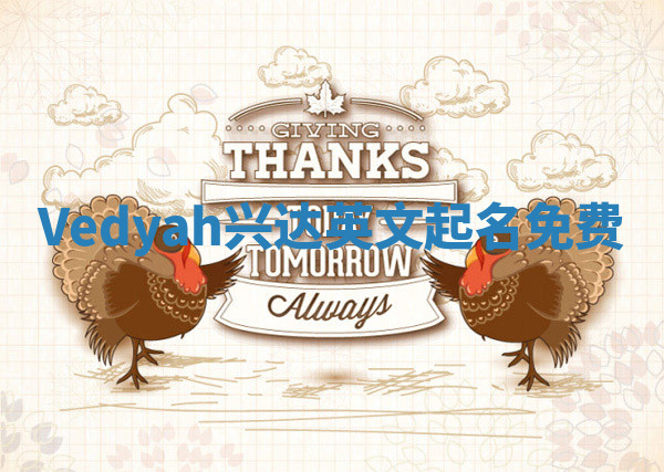 Vedyah兴达英文起名免费