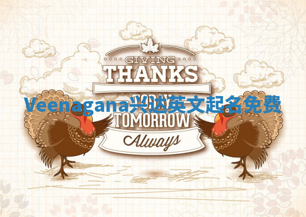 Veenagana兴达英文起名免费