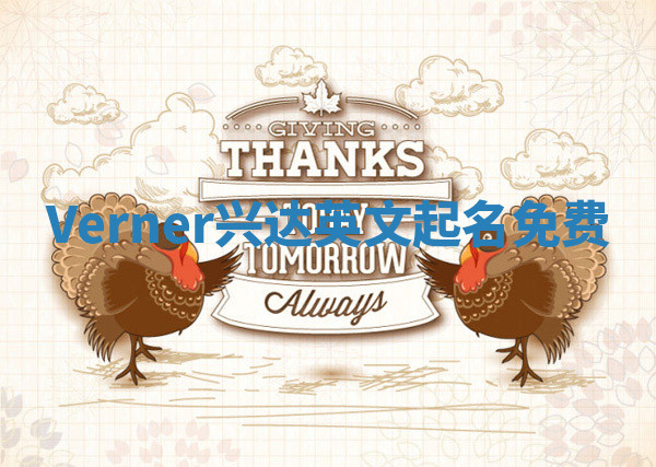 Verner兴达英文起名免费