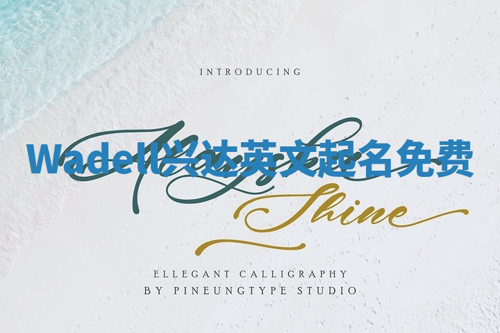 Wadell兴达英文起名免费