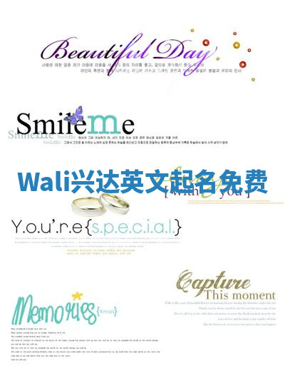 Wali兴达英文起名免费