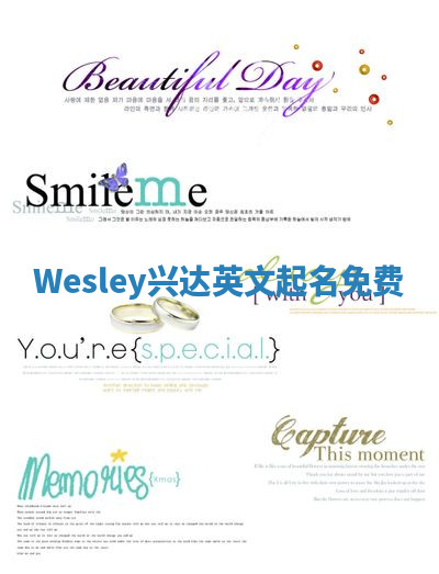 Wesley兴达英文起名免费
