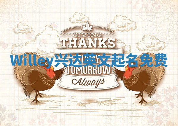 Willey兴达英文起名免费