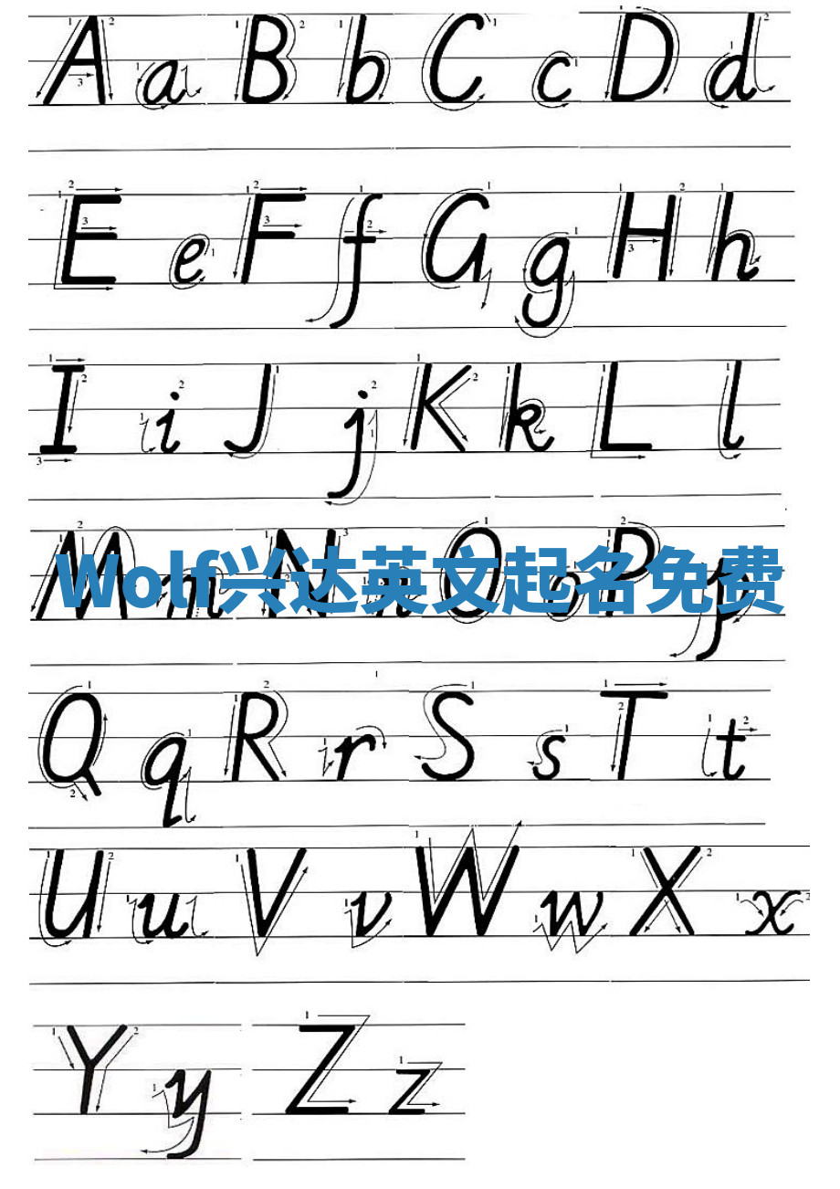 Wolf兴达英文起名免费