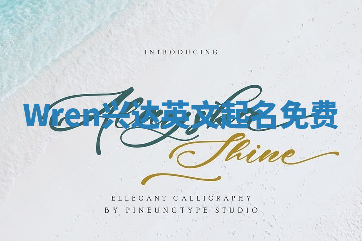 Wren兴达英文起名免费