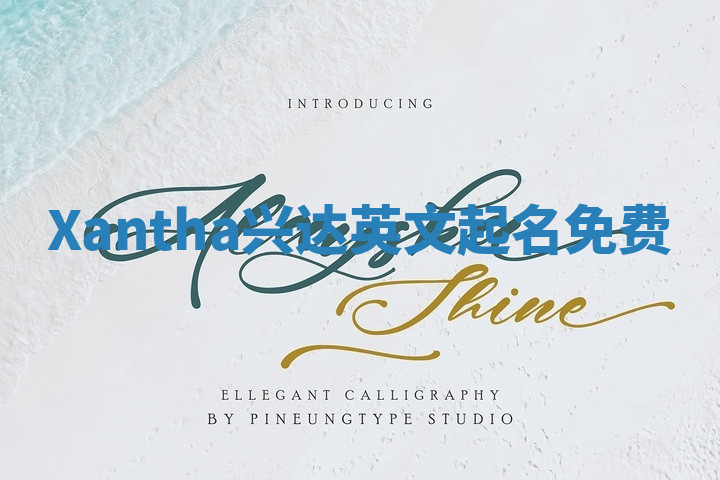 Xantha兴达英文起名免费