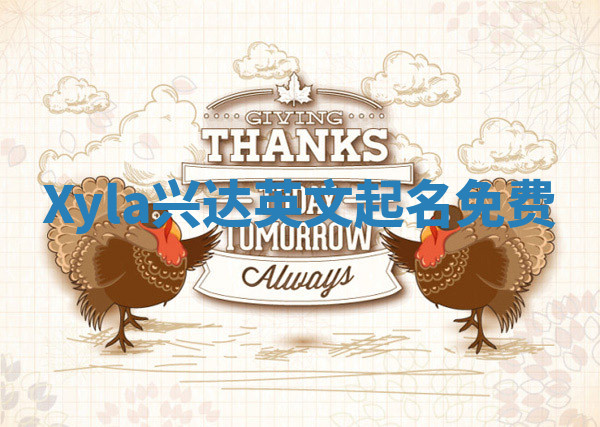 Xyla兴达英文起名免费