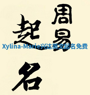 Xylina-Marie兴达英文起名免费