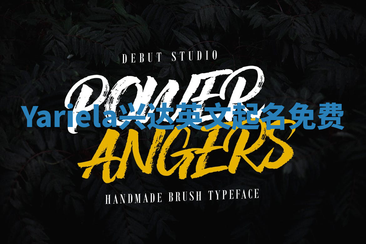 Yariela兴达英文起名免费