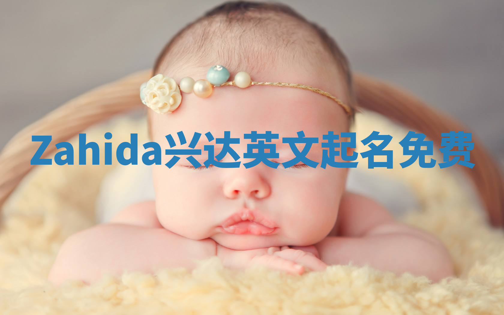 Zahida兴达英文起名免费