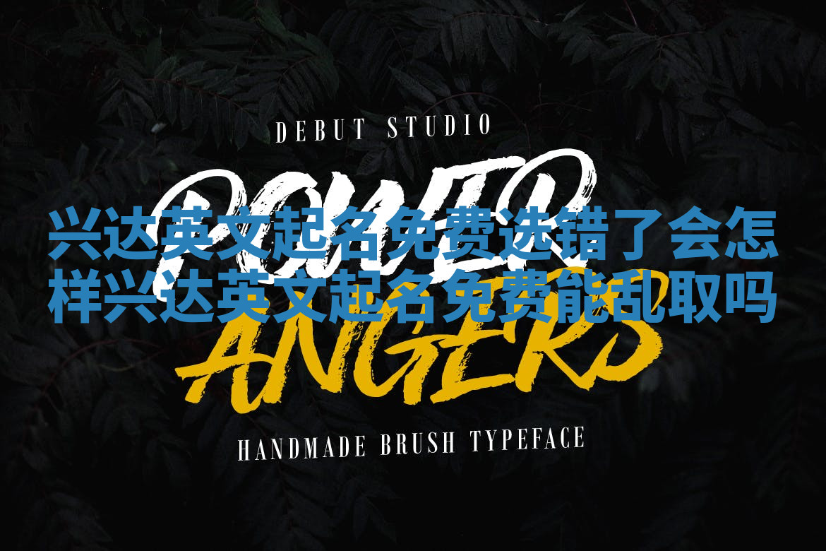 兴达英文起名免费选错了会怎样 兴达英文起名免费能乱取吗 兴达英文起名免费选错了会怎样 兴达英文起名免费能乱取吗