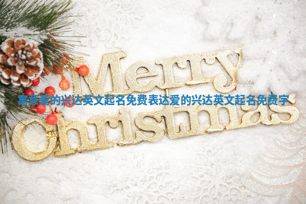 寓意爱的兴达英文起名免费_表达爱的兴达英文起名免费字