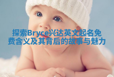 探索Bryce兴达英文起名免费含义及其背后的故事与魅力