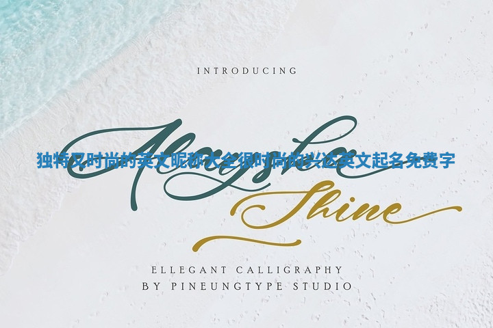 独特又时尚的英文昵称大全_很时尚的兴达英文起名免费字