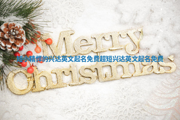 短小精悍的兴达英文起名免费 超短兴达英文起名免费