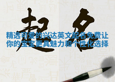 精选可爱的兴达英文起名免费让你的宝宝更具魅力和个性化选择